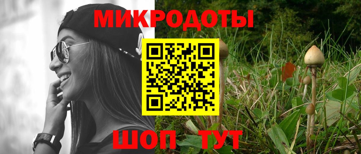 Галлюциногенные грибы мицелий  Вход с VPN  Гусиноозёрск 